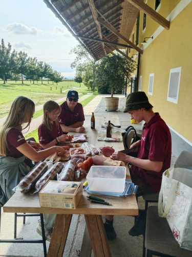 IMG 20250913 152912.jpg compressed