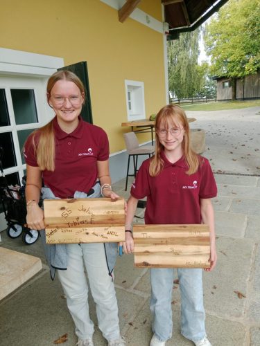 IMG 20250913 161705.jpg compressed